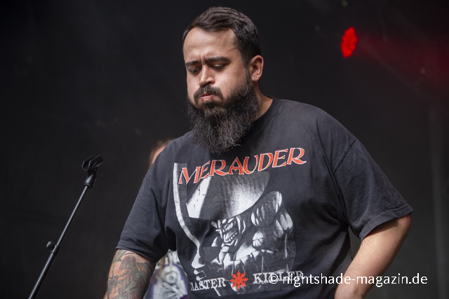 Fallbrawl