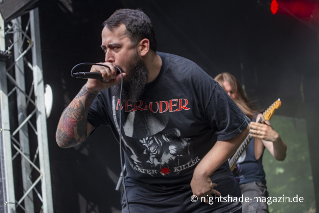 Fallbrawl