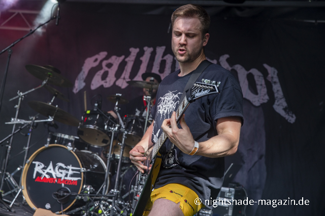 Fallbrawl