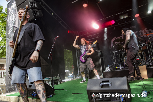 Fallbrawl
