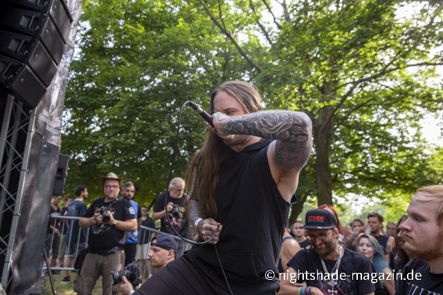 Fallbrawl