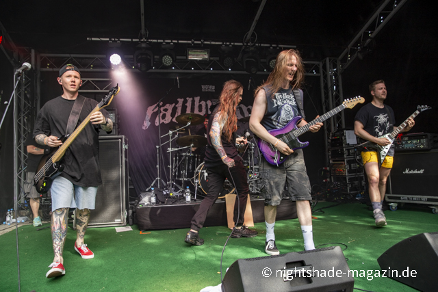 Fallbrawl