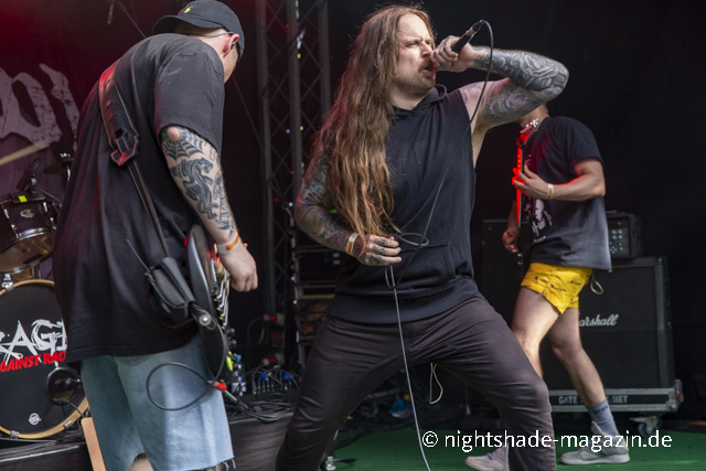 Fallbrawl