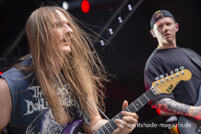 Fallbrawl