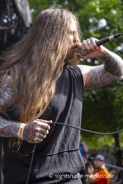 Fallbrawl