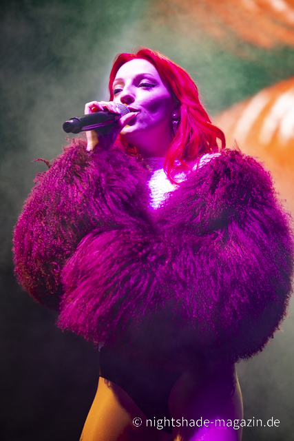 Sophie And The Giants