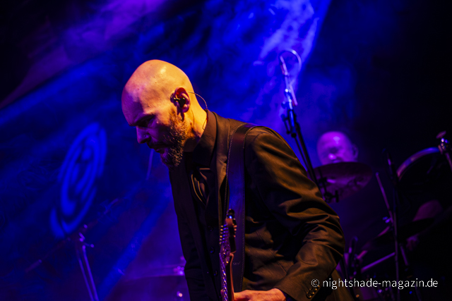 The Beauty Of Gemina