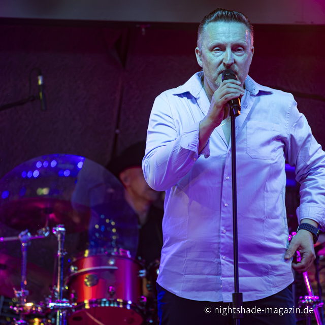 The Firebirds RocknRoll Cruise 2025 - Sams Fever