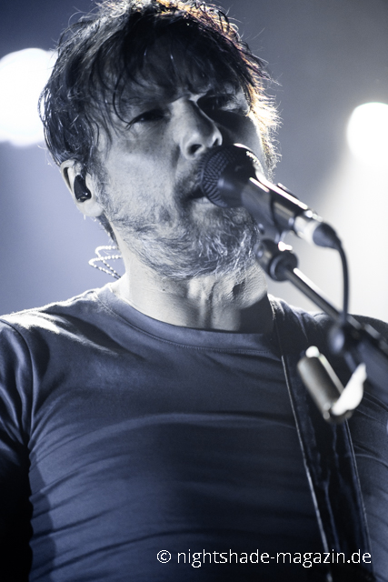 The Pineapple Thief