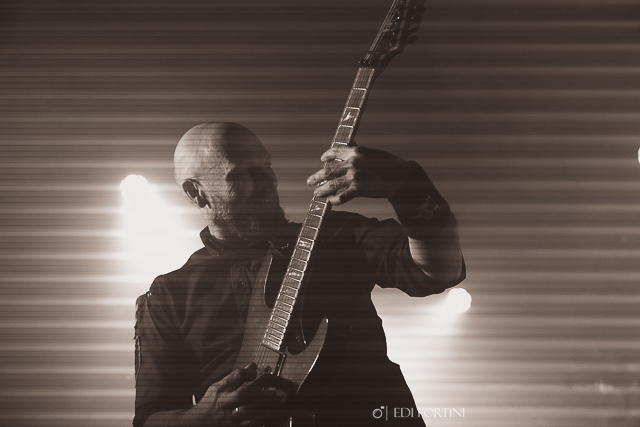 Vreid