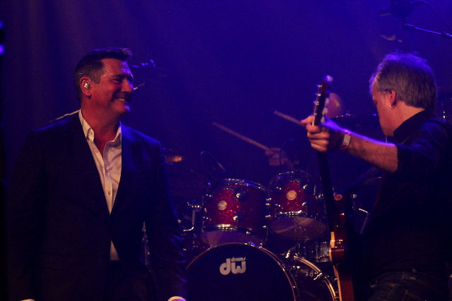 Tony Hadley