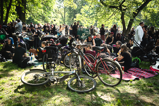 Viktorianisches Picknick