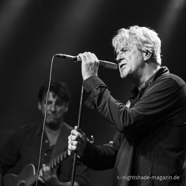 White Rose Transmission