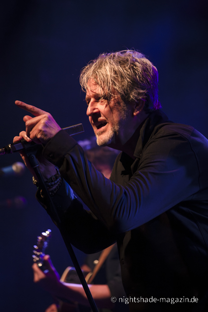 White Rose Transmission