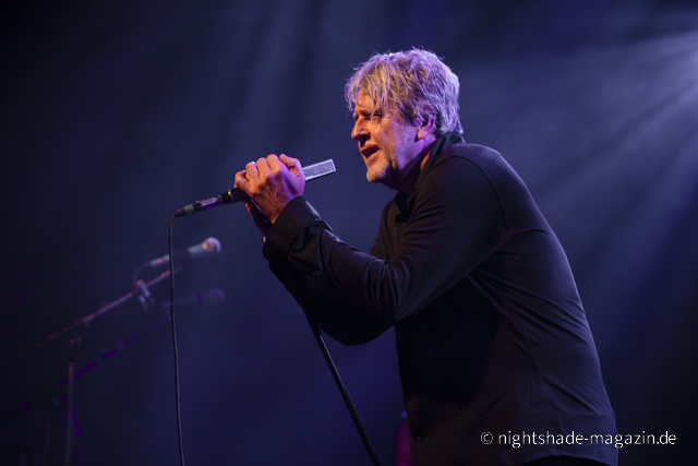 White Rose Transmission