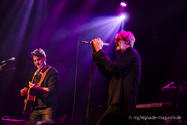 White Rose Transmission