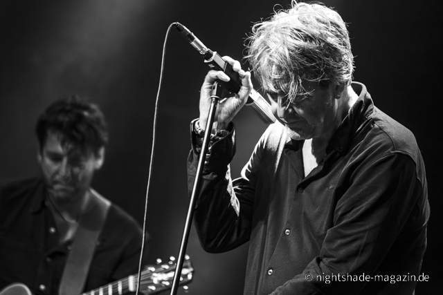 White Rose Transmission