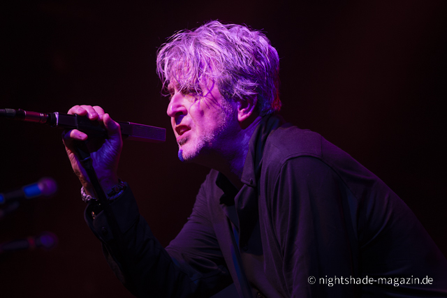 White Rose Transmission