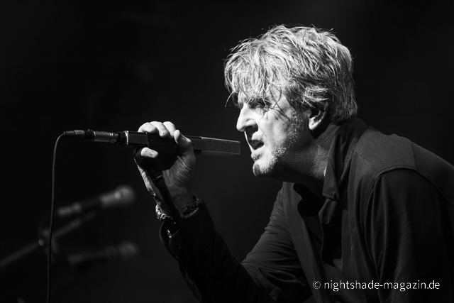 White Rose Transmission