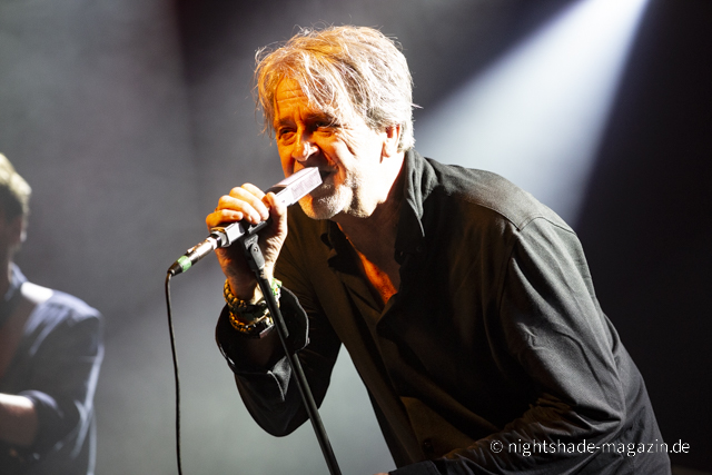 White Rose Transmission