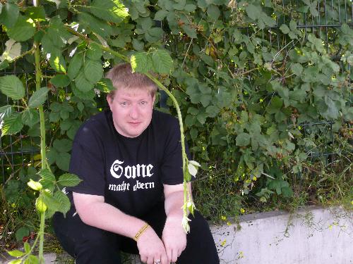 Daniel im Wunderland
