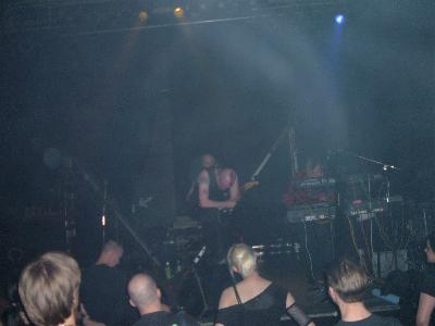 Metallsprhunde