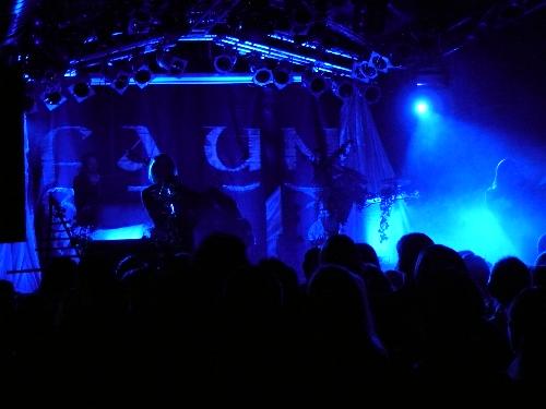 Faun