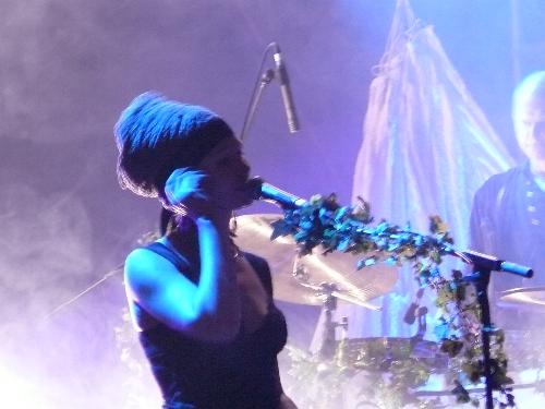Faun