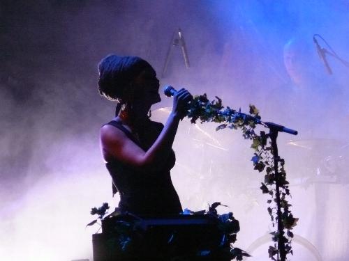 Faun