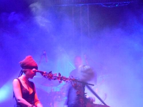 Faun