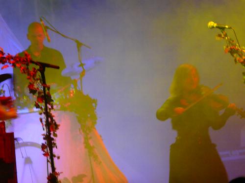 Faun