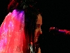 Vic Anselmo