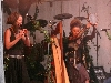 Faun