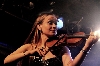 Ally the Fiddle