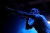Primordial