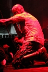 Primordial