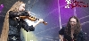 Ally The Fiddle
