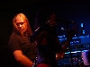 Sirenia