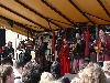 Die Streuner