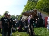 Die Streuner