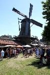 Under the Mill(y) Way
