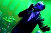The Damned